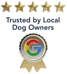 Google Reviews