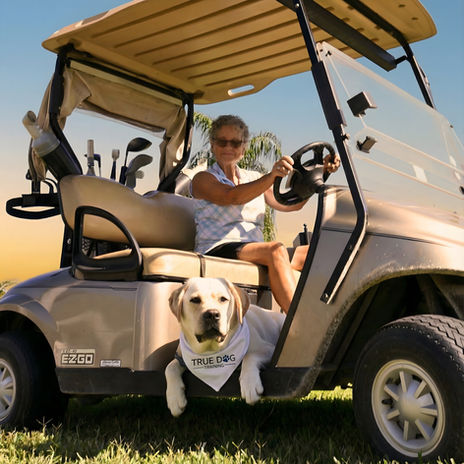 True Dog Training gallery photo 8